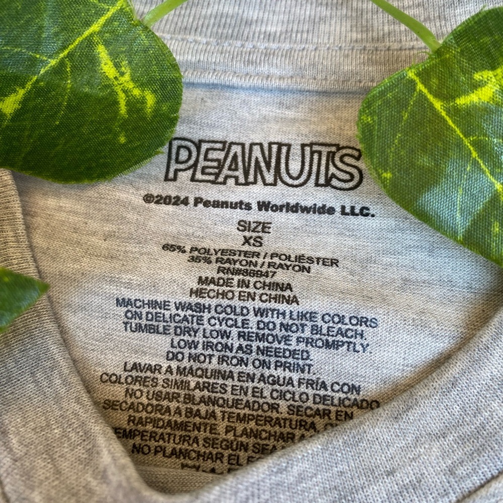 Peanuts Snoopy Woodstock Charlie Brown Shirt XS NWT Gray Knotts Berry Farm Tee - Picture 5 of 9